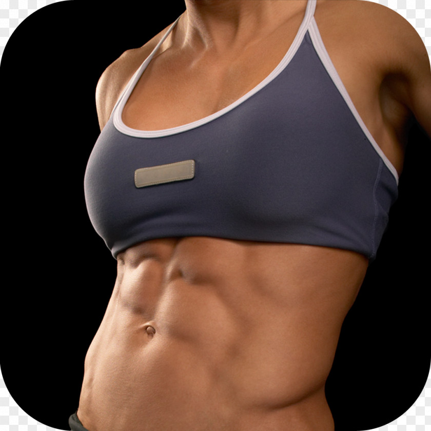 Boxing Rectus Abdominis Muscle Abdominal Exercise Physical Woman Crunch PNG