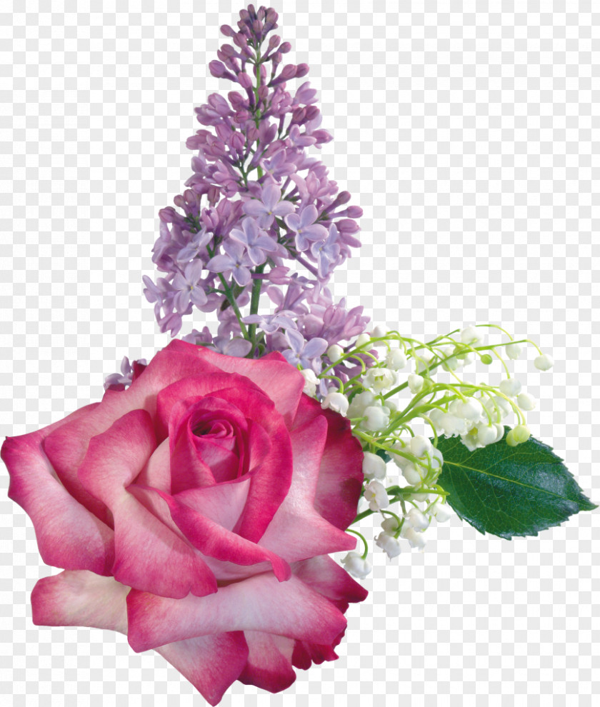 Gladiolus Floral Design Flower Art PNG
