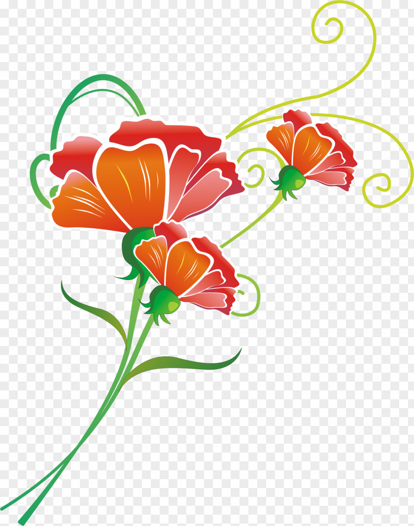 Morning Glory Clip Art Floral Design Carnation Flower PNG