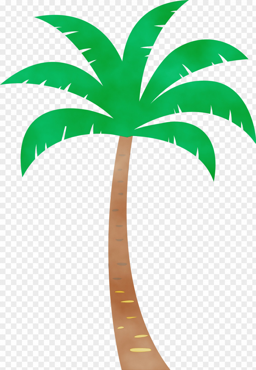 Palm Trees PNG