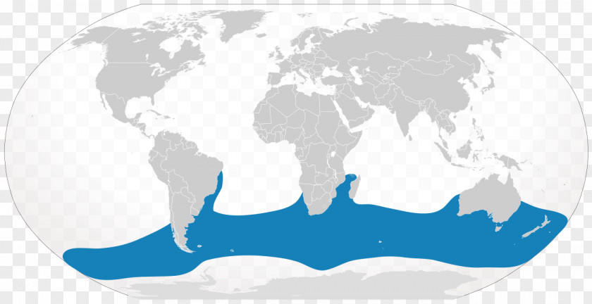 World Map Vector Geography PNG