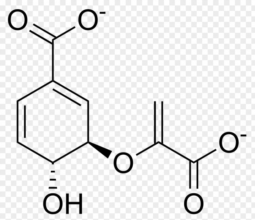 Chorismic Acid Methyl Group Methylparaben 4-Hydroxybenzoic Methoxy PNG