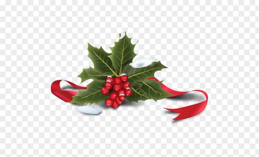 Holly Icon Common Santa Claus Christmas PNG