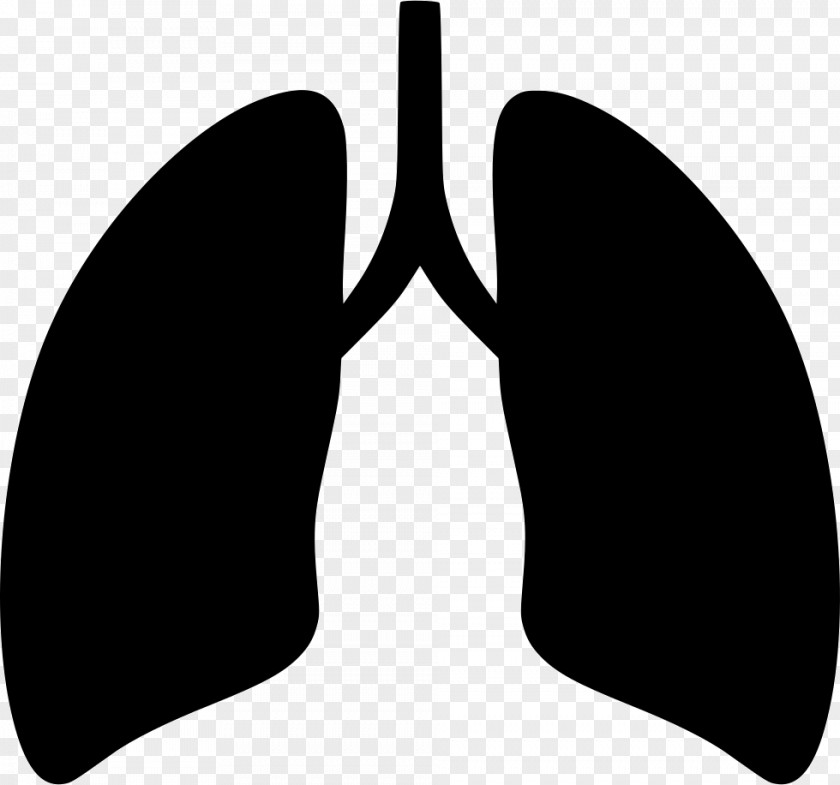 Breathing Icon Clip Art Lung PNG