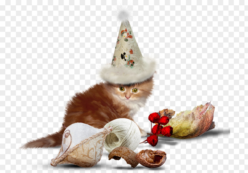 Cat Kitten Dog Image Christmas Day PNG