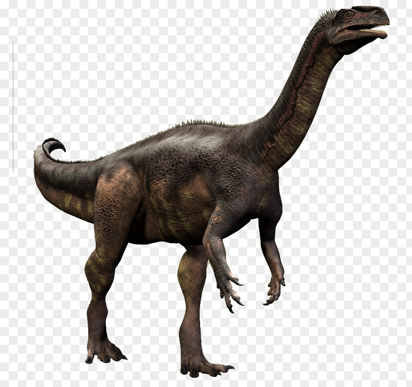 Dinosaur Velociraptor Plateosaurus Teratosaurus Rhamphorhynchus Tyrannosaurus PNG