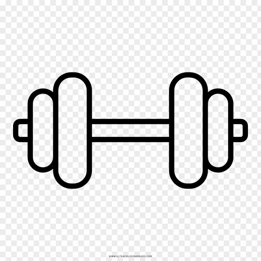 Dumbbell Weight Training Physical Fitness Exercise Drawing PNG