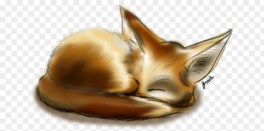 Fox Fennec Drawing Art PNG
