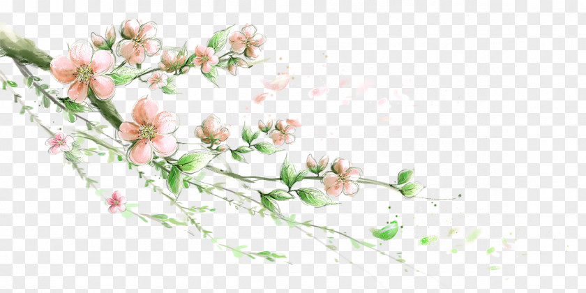 Peach Blossom High-definition Television Display Resolution 1080p Mobile Phone Wallpaper PNG