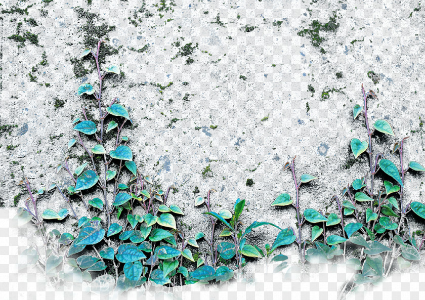 Wall Fence Flower Ivy Parede PNG