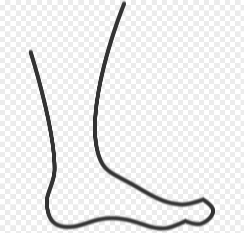 Ankle Streamer Clip Art Vector Graphics Foot Image PNG