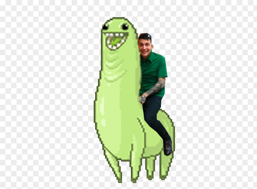 Frank Iero Llama Tenor Giphy Gfycat PNG