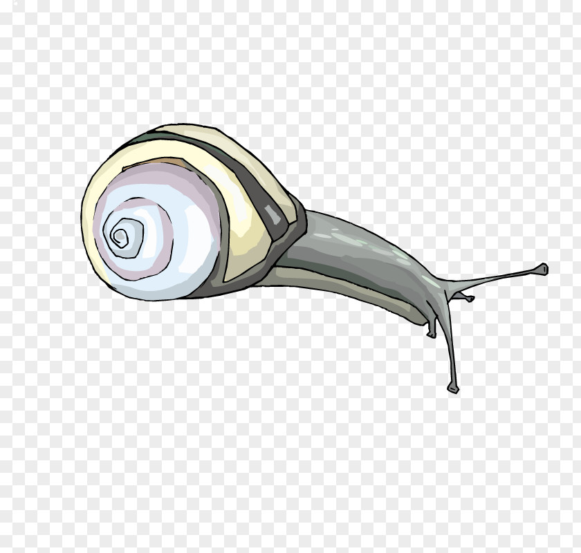 Snails PNG