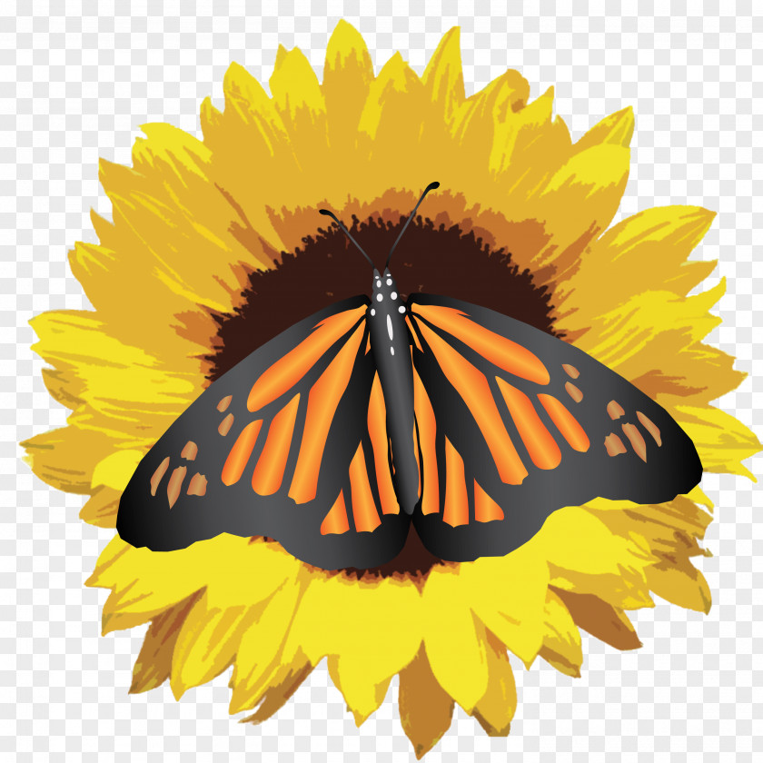 Sunflower Clip Art Image Desktop Wallpaper PNG