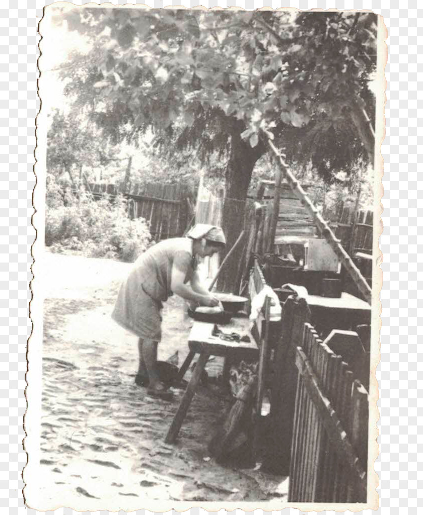 Tea Danube Vehicle River Nature PNG