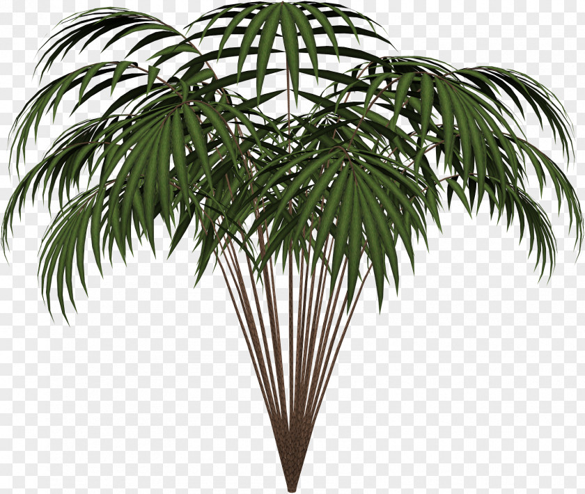 Tropical Flower Plant Microsoft Paint Clip Art PNG