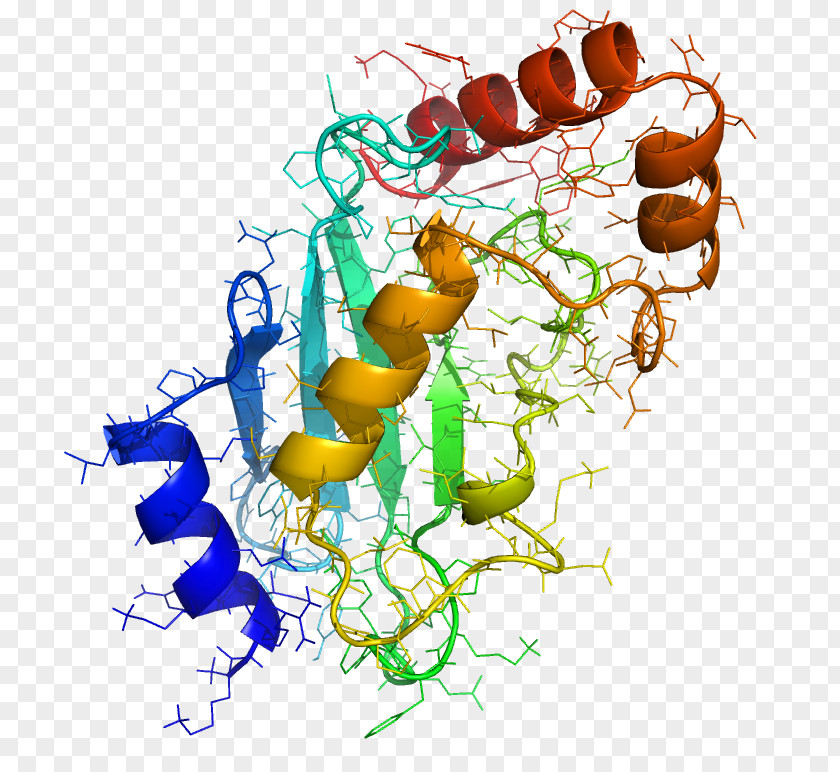 Ubiquitin-conjugating Enzyme Protein Post-translational Modification PNG