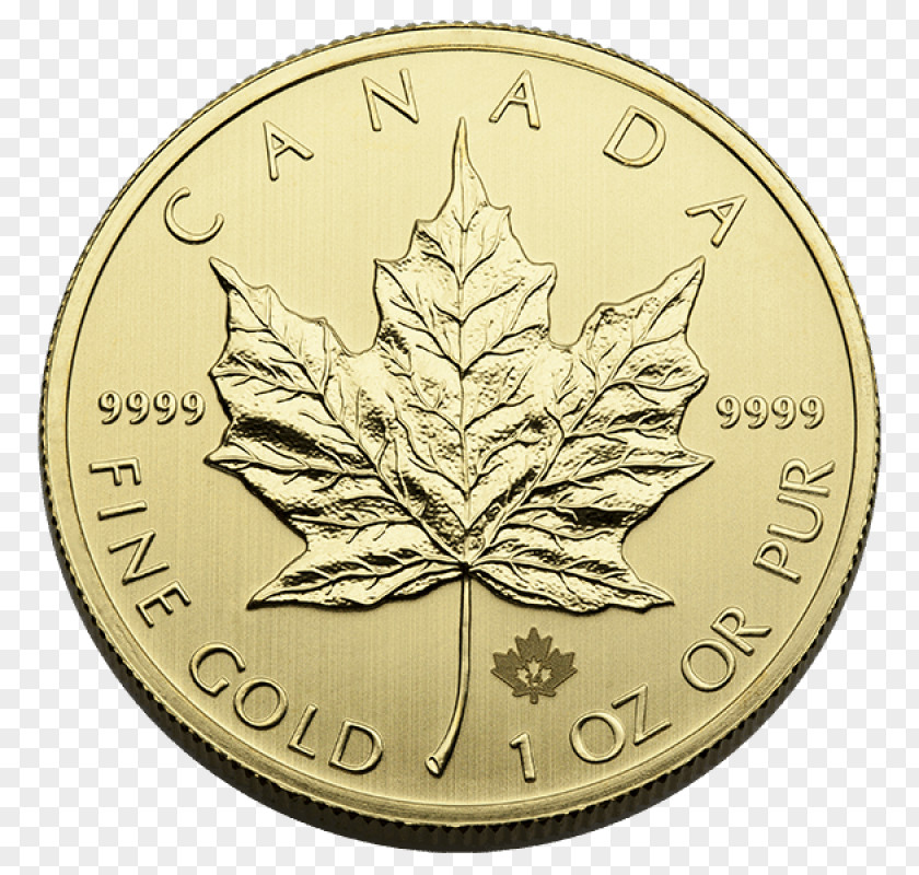 Us 2 Dollar Bills Rare Canada Canadian Gold Maple Leaf Silver Bullion Coin PNG