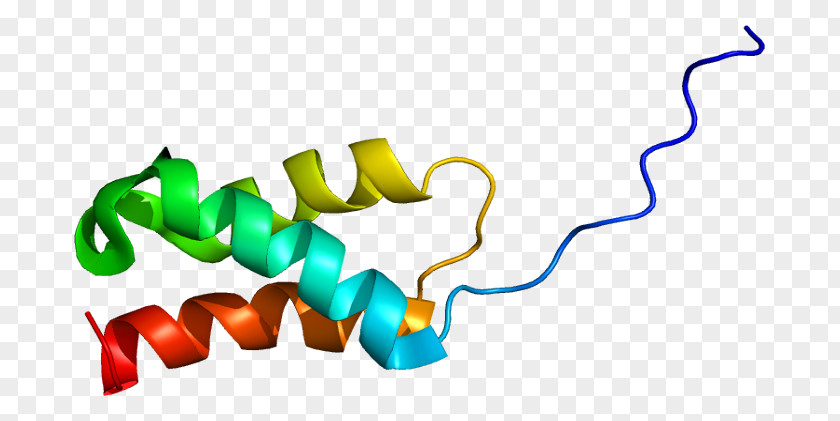 DEK Oncogene Protein DNA PNG