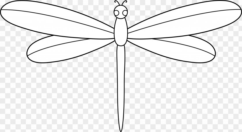 Dragonfly Outline Butterfly Insect Line Symmetry Point PNG