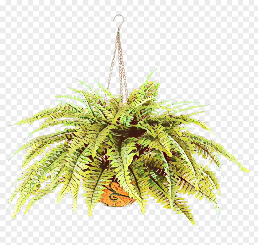 Fern Flower Palm Tree PNG