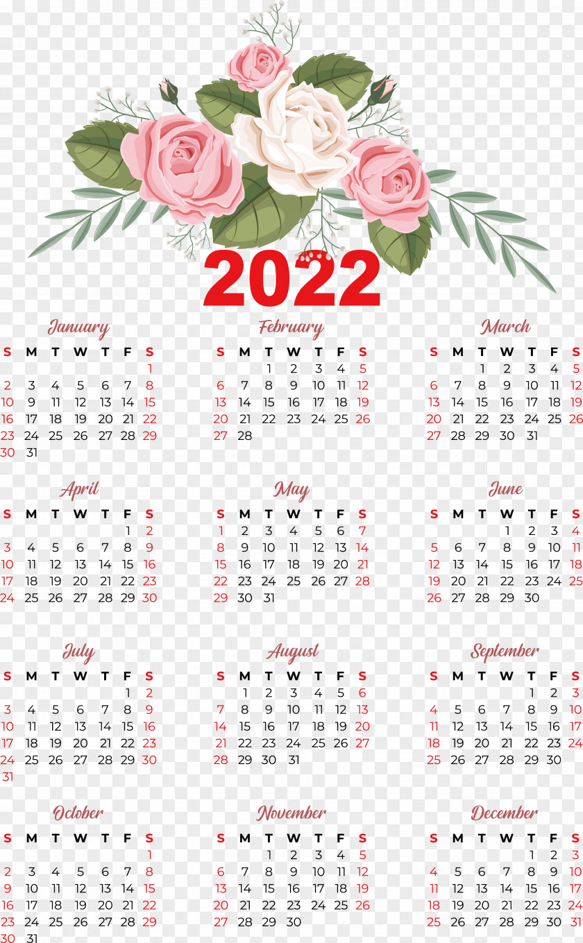 Flower Calendar Meter Plant Science PNG