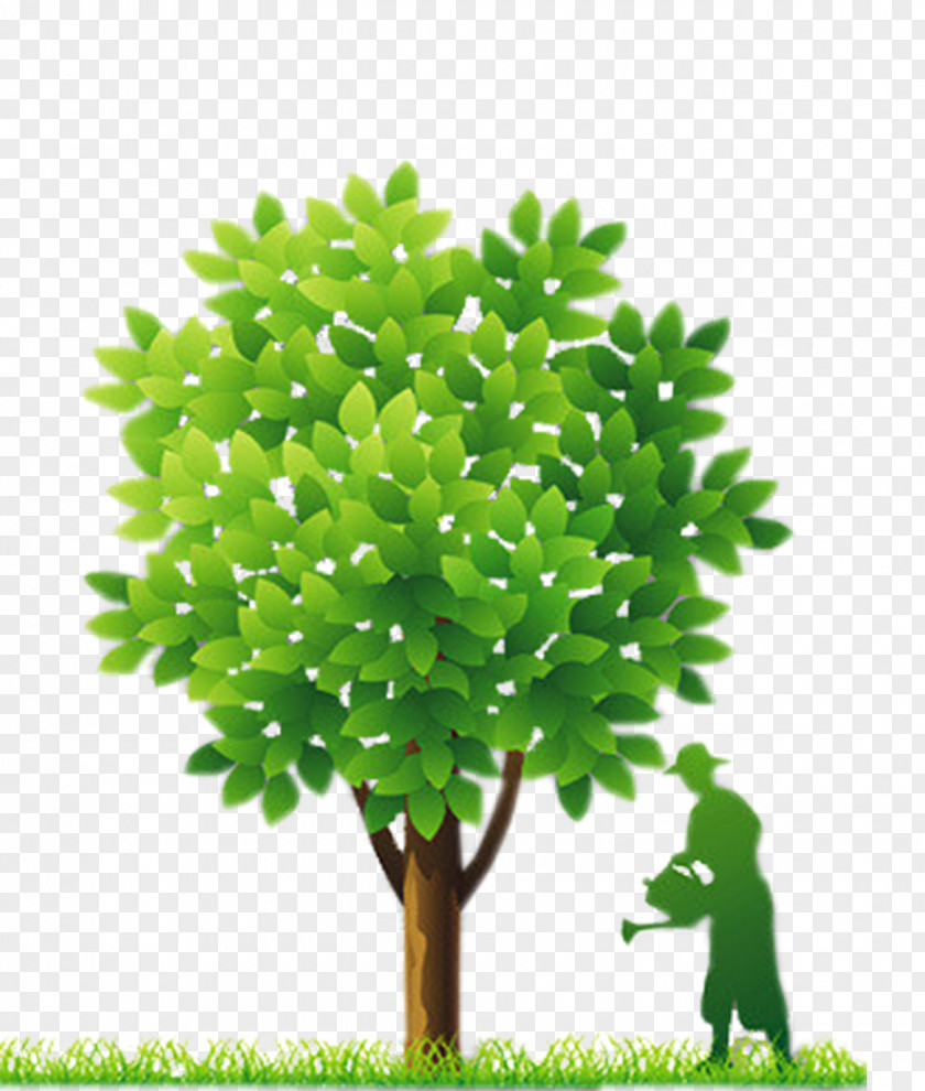 Green Tree Silhouette Figures Watering Arbor Element Fort Worth Euclidean Vector PNG