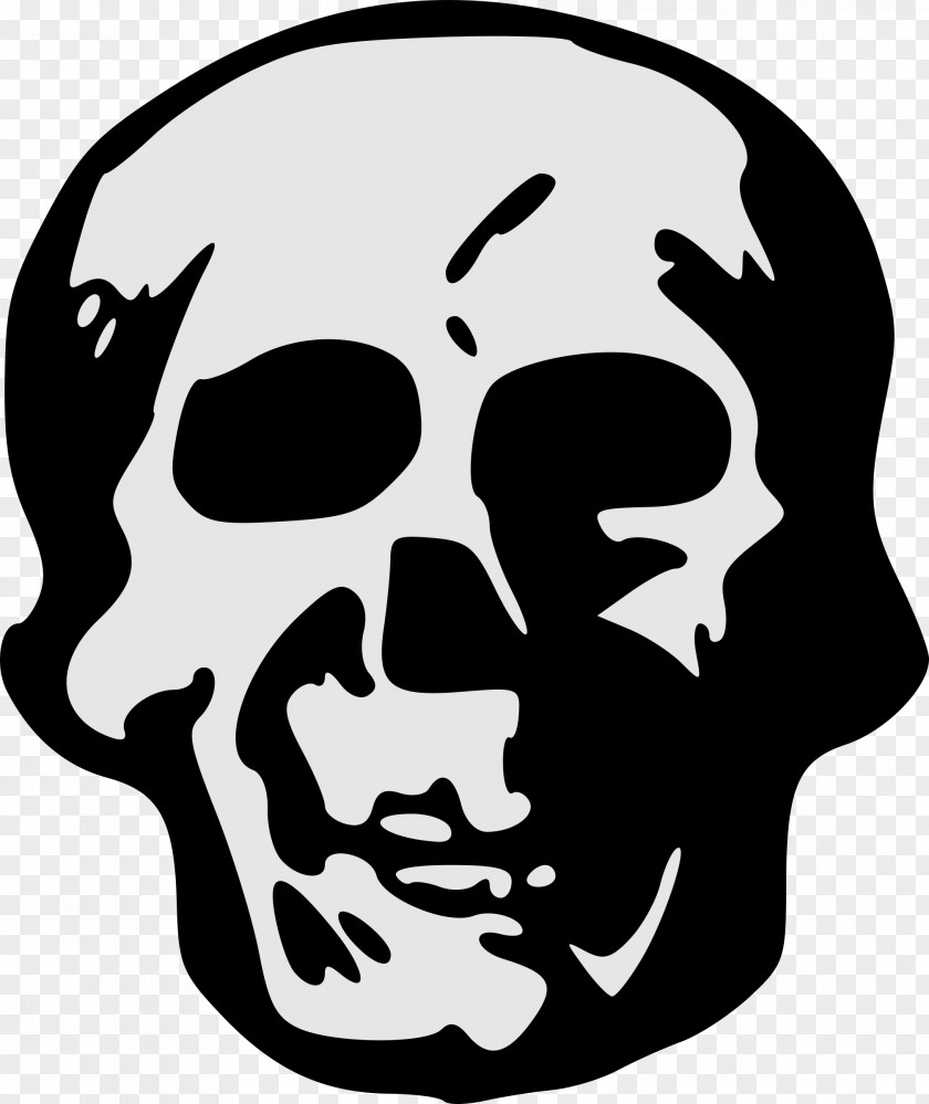 Skull Face Fiction Perspiration Jaw PNG