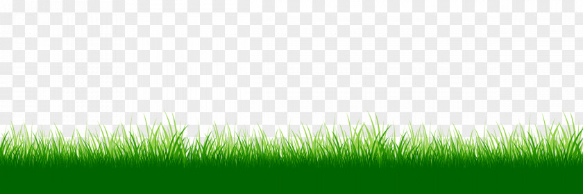 Summer Sports Lawn Grasses Desktop Wallpaper Energy Grassland PNG