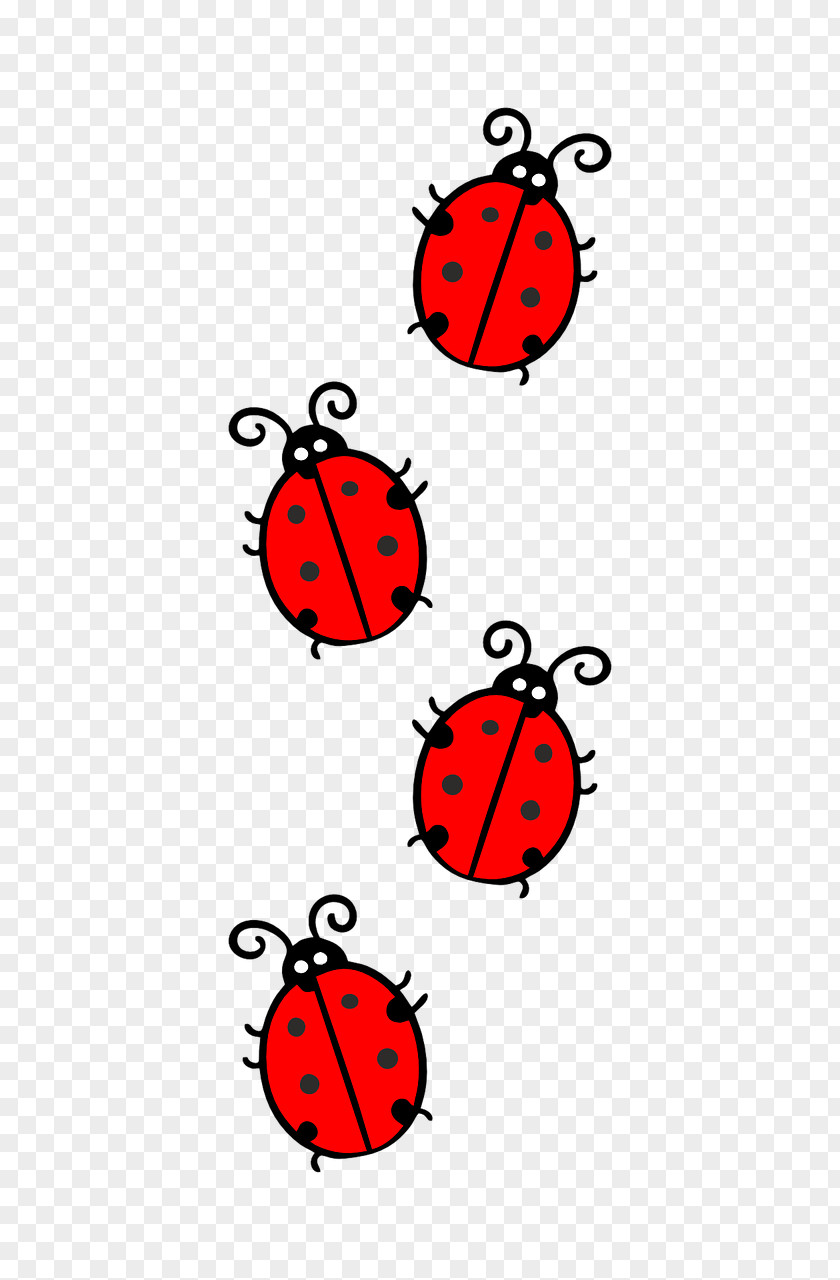 Beetle Ladybird Clip Art Vector Graphics Image PNG