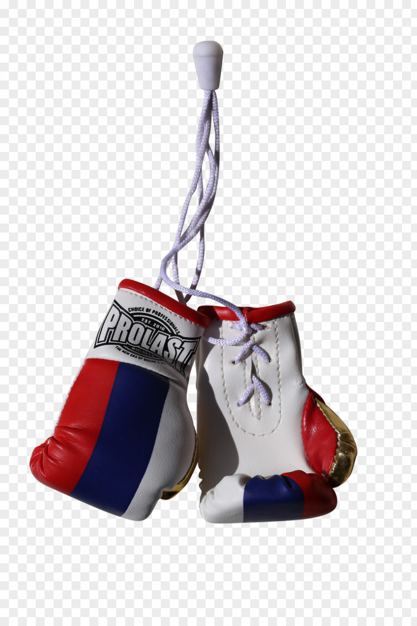Boxing Glove Punching & Training Bags PNG