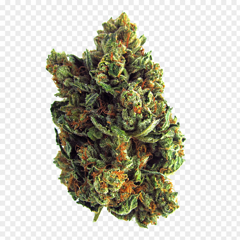 Cannabis Kush Medical Drug Haze PNG