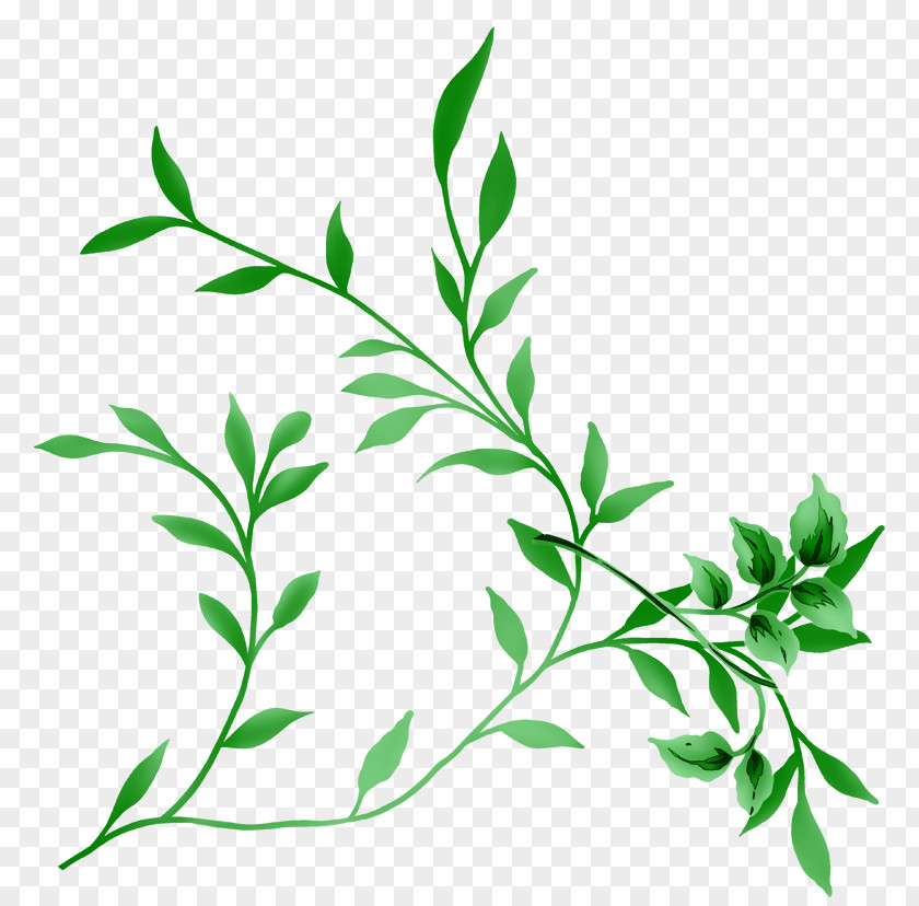 Forum Clip Art Image Vector Graphics Leaf PNG