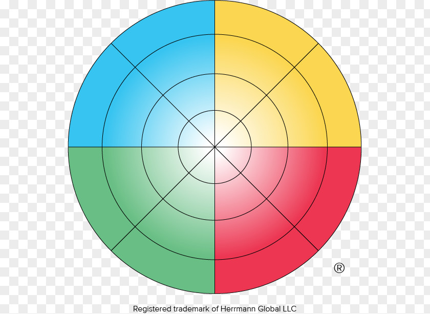 Herrmann Brain Dominance Instrument Thought Circle Angle PNG