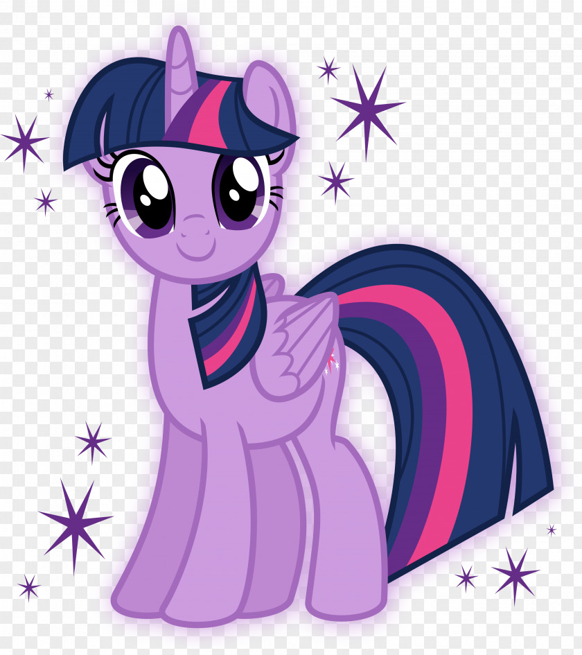 MY LITTLE PONY PARTY Twilight Sparkle Pony Rarity The Saga PNG