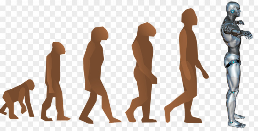 Neanderthal Human Evolution Homo Sapiens Chimpanzee PNG