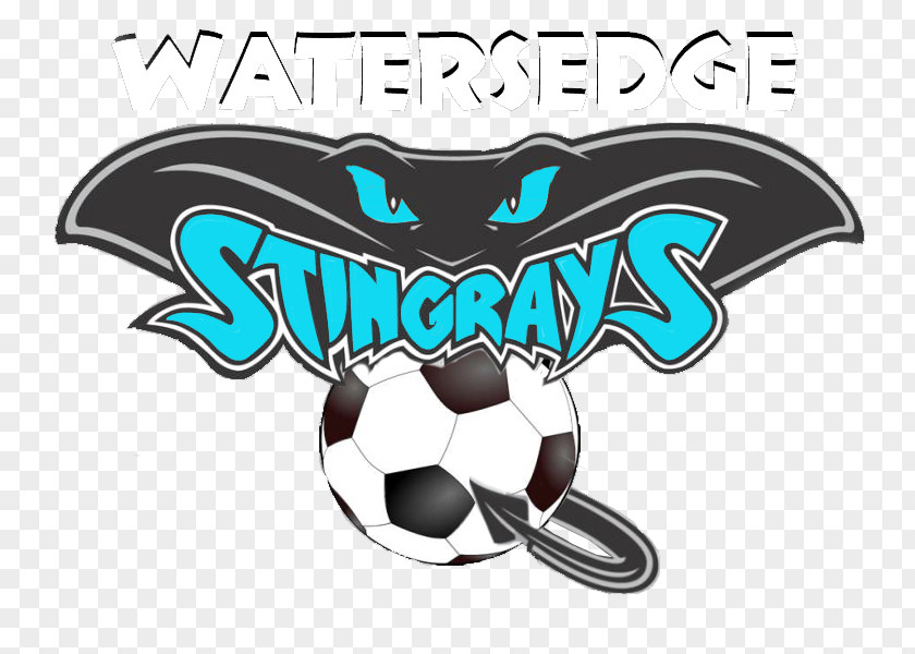 Soccer Screening Watersedge Recreation Council Myliobatoidei Manta Ray Football Logo PNG