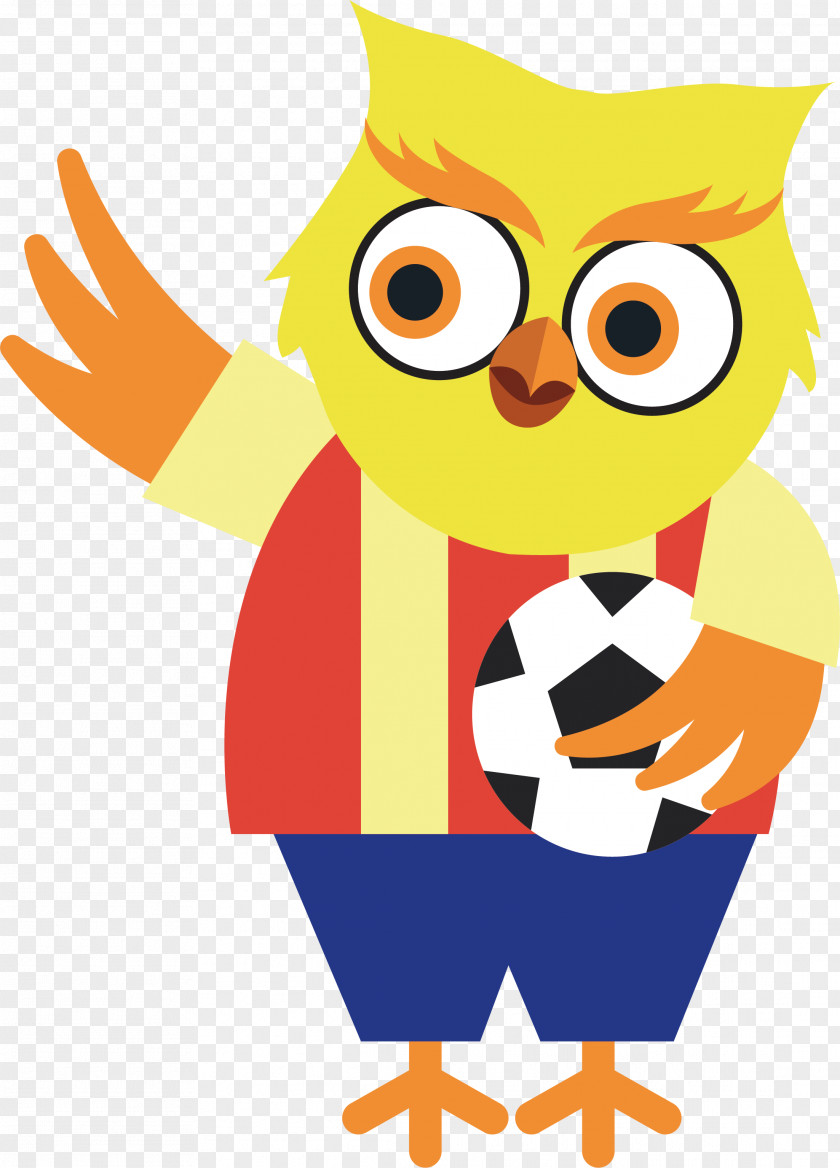 Barred Owl Illustration Image Clip Art PNG