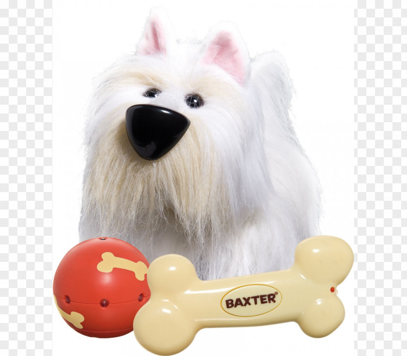 Dog Toy Child Puppy Ball PNG