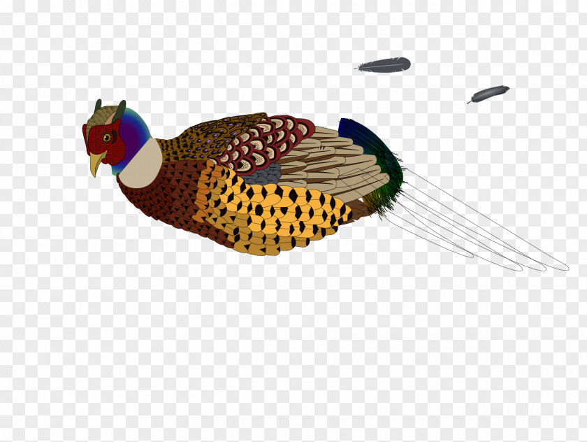 Bird Pheasant Clip Art PNG