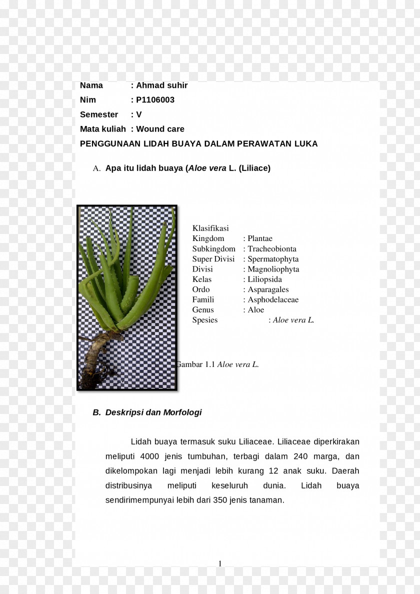 Design Grasses Brochure PNG