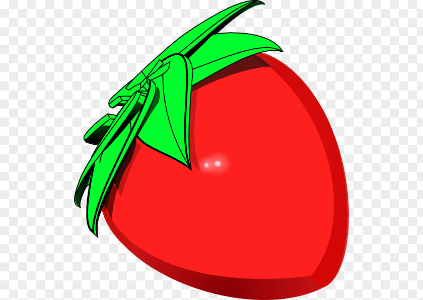 Fruit Vector Clip Art PNG