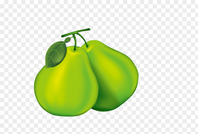 Green Pears Pear Pomelo Cartoon PNG