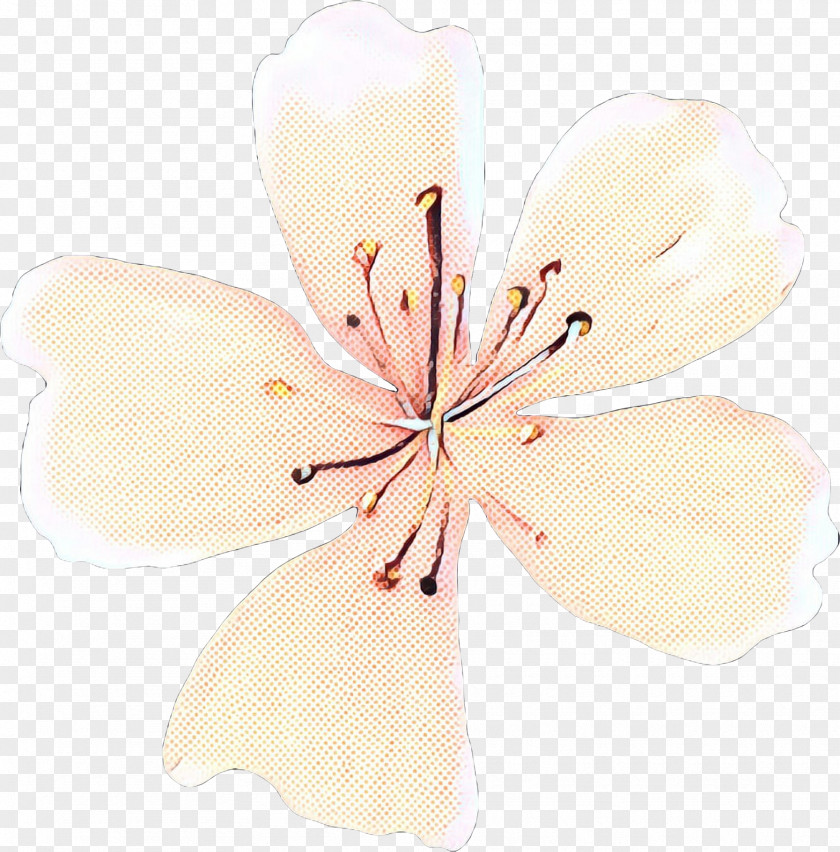 Herbaceous Plant Cherry Blossom Pop Art Retro Vintage PNG