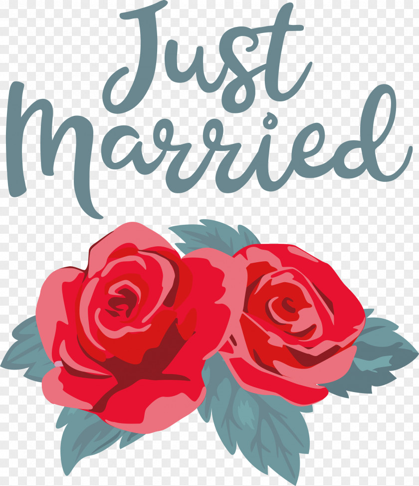 Just Married Wedding PNG