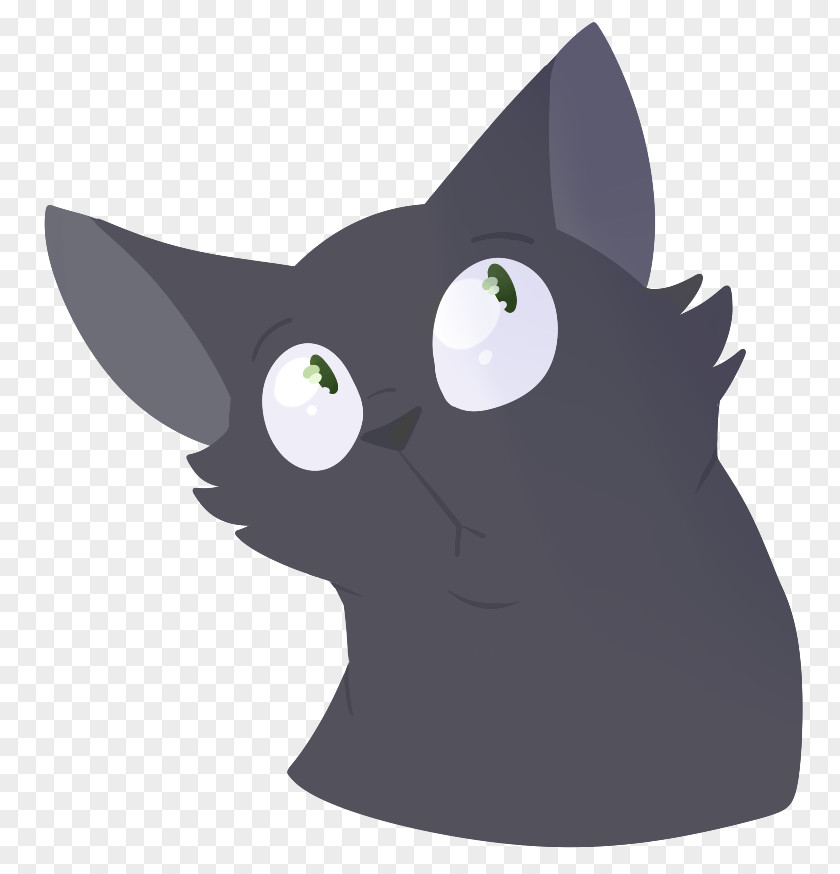 Kitten Korat Whiskers Domestic Short-haired Cat Black PNG