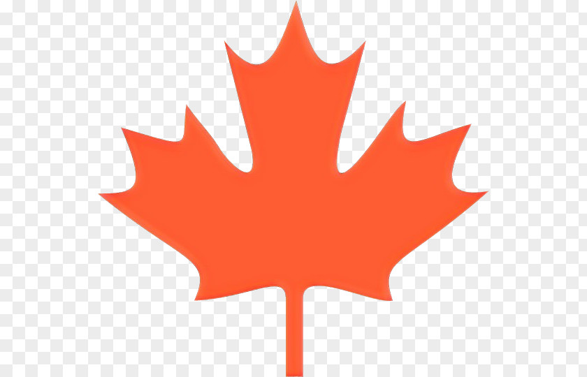 Symbol Black Maple Canada Leaf PNG