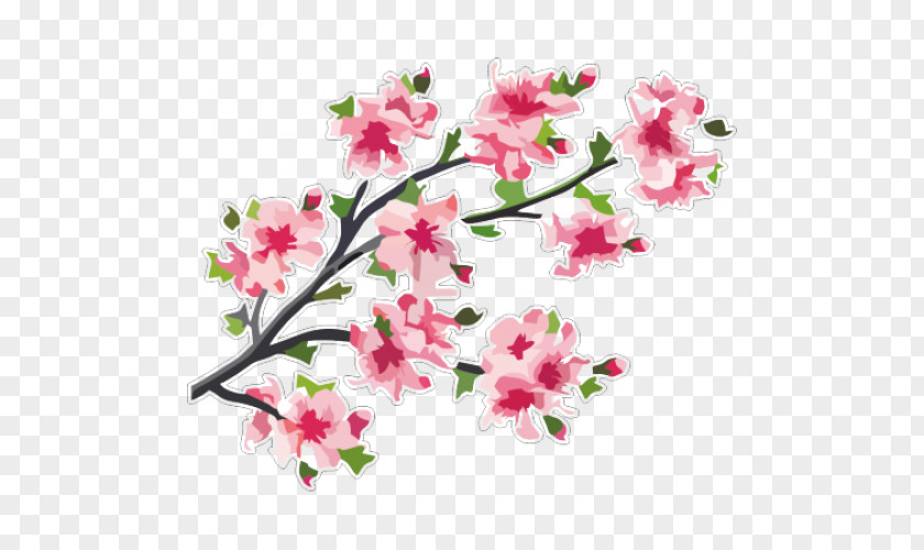 Cherry Blossom Branch Tree PNG