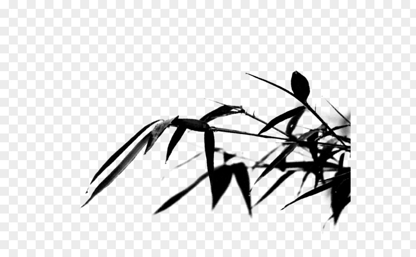 Chinese Wind And Ink Bamboo Leaves Anji County Black White PNG