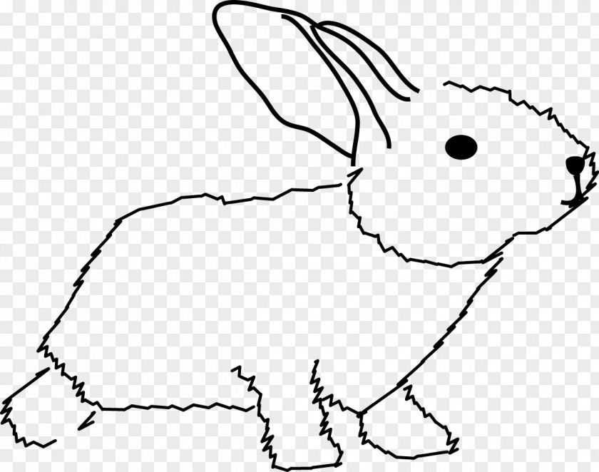 Domestic Rabbit Hare Whiskers Nose PNG